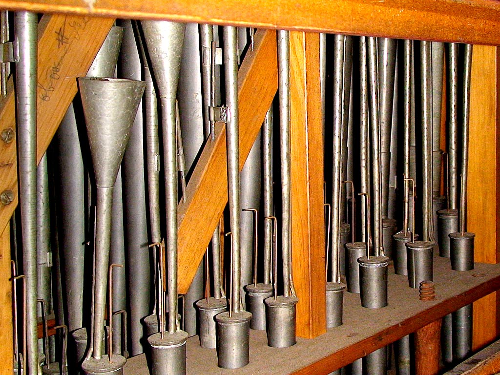 Organ